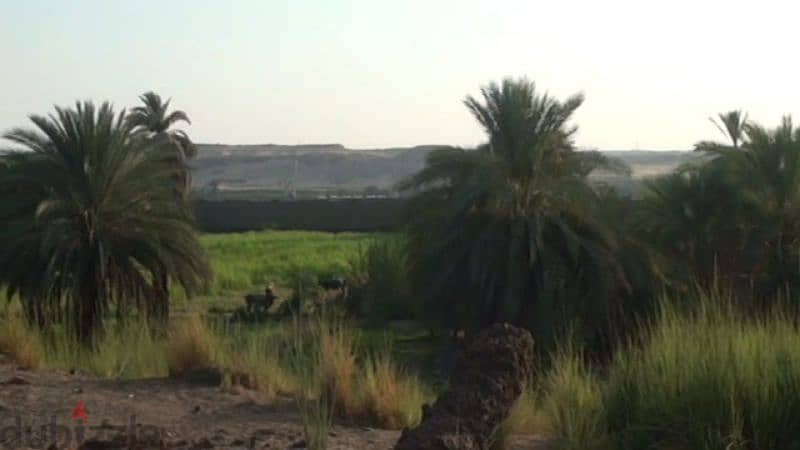 بيع ارض فى اسوان مساحه ٢٨الف مترمربع تطل على النيل وعلى الشارع الرئيسي 14