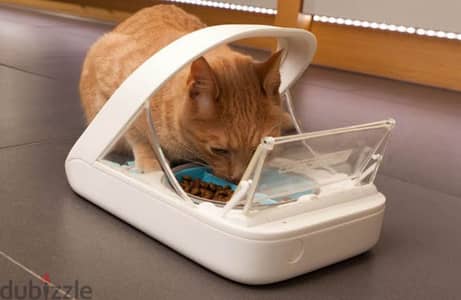 surefeed microship pet feeder