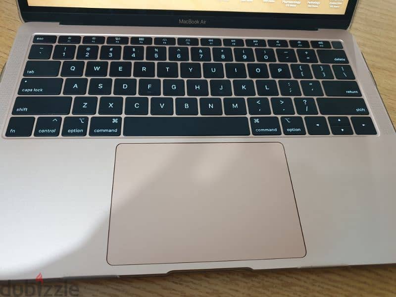 Macbook Air 2019  256 GB 1