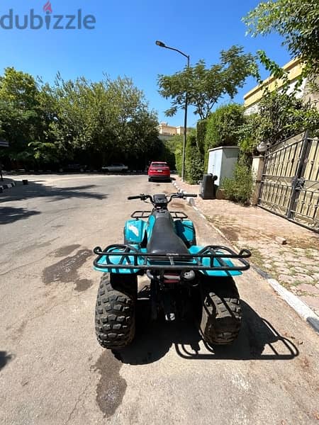 Suzuki 160cc quadrunner 1