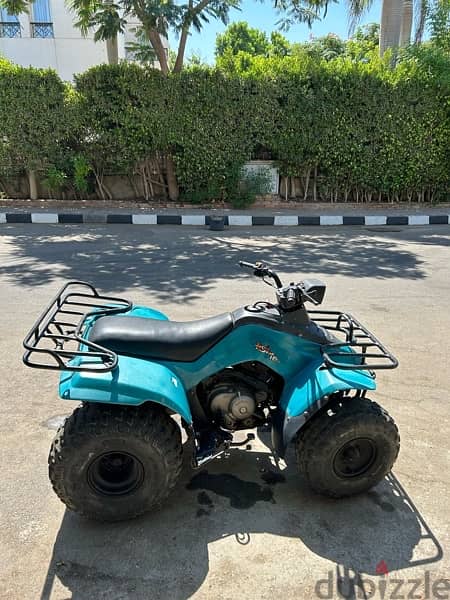 Suzuki 160cc quadrunner 3