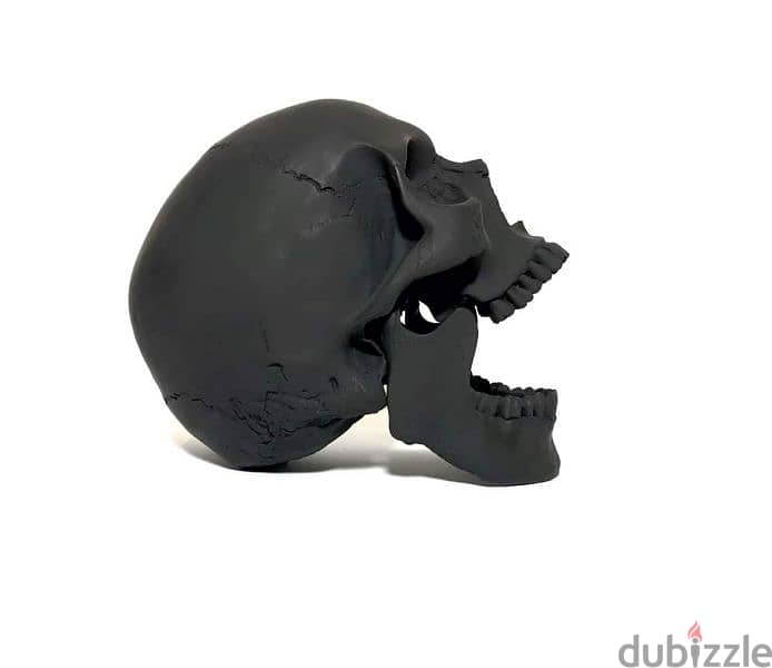 Skull جمجمة 2