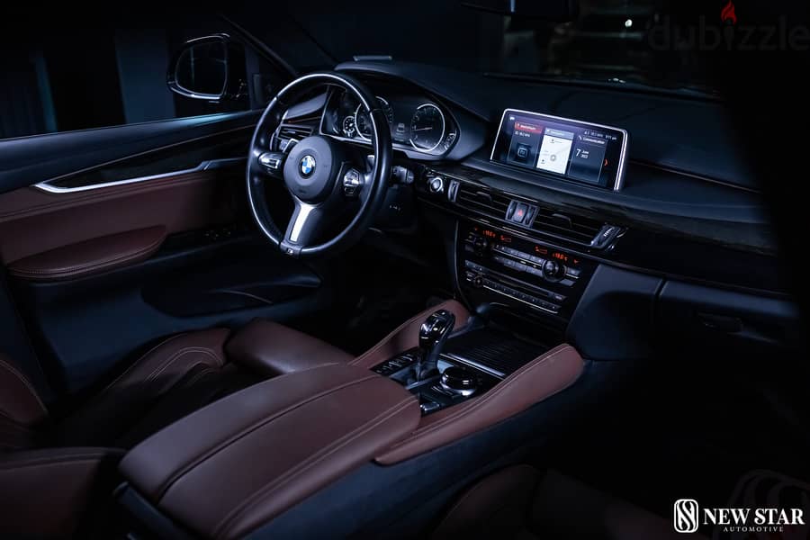 BMW X6 THE LUXURY CROSSOVER SUV 2019 12