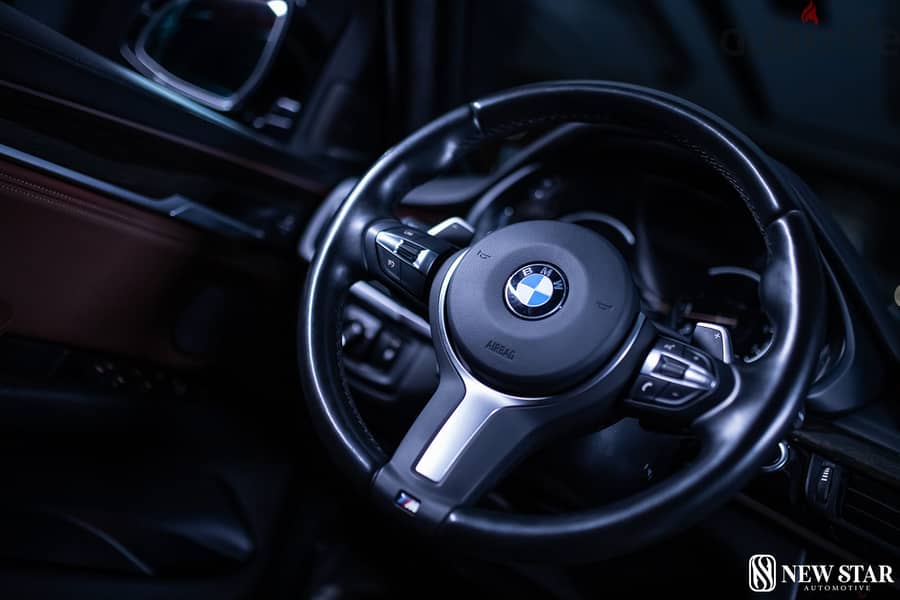 BMW X6 THE LUXURY CROSSOVER SUV 2019 14