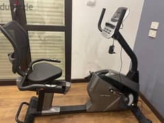 Icon Fitness Electric Relax Bike 0