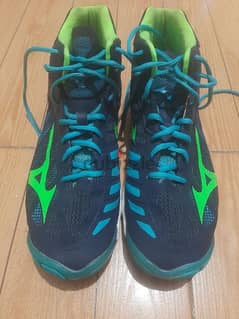 mizuno volleyball/basketball shoes size 46.5 0