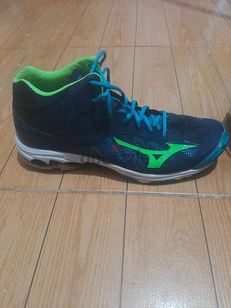 mizuno volleyball/basketball shoes size 46.5 1
