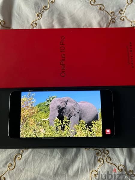 one plus 10 pro limited edition 4