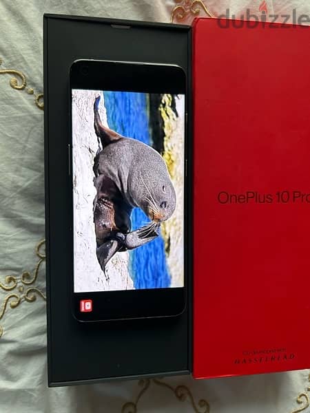 one plus 10 pro limited edition 5