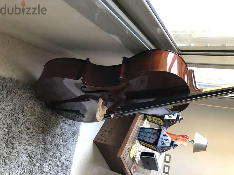 Brand New Cello 2