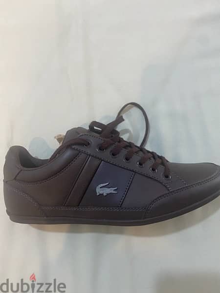 New original Lacoste shoes from USA 2