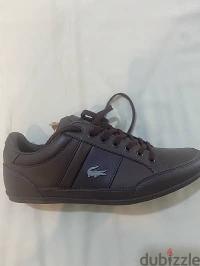 New original Lacoste shoes