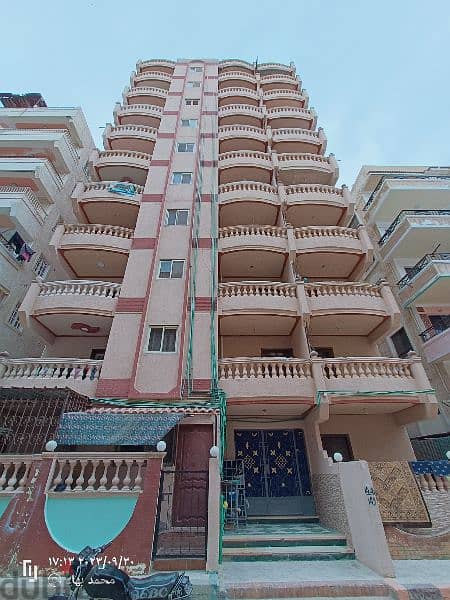 شقة للبيع في الإسكندرية شارع 2موقع ممتاز جدا يصلح للسكن والاستثمار 2