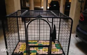 Cage for dogs