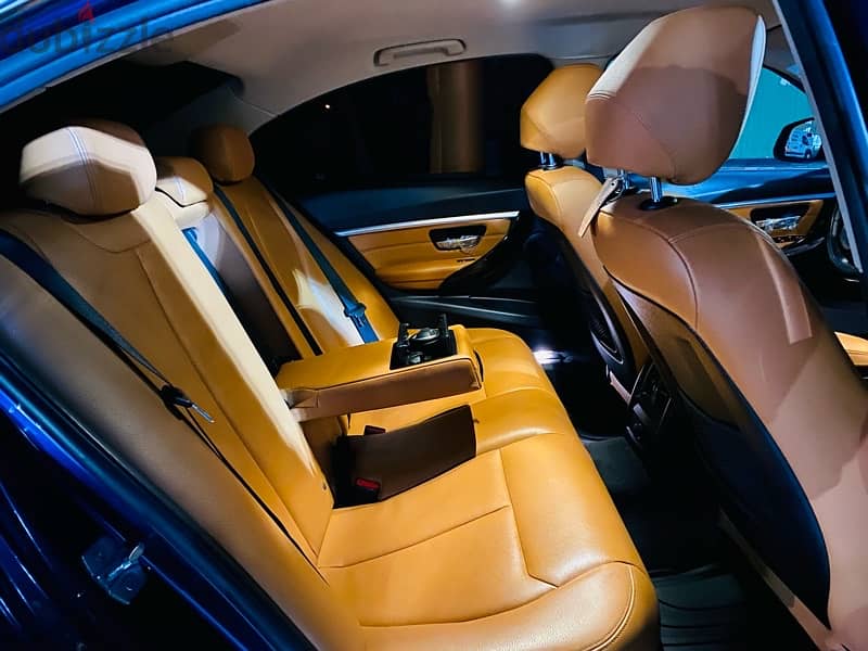 BMW 318 Luxury 2019 3