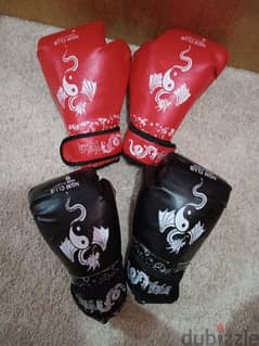 Boxing gloves 0