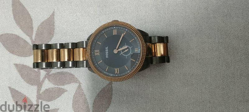 Watch fossil 1