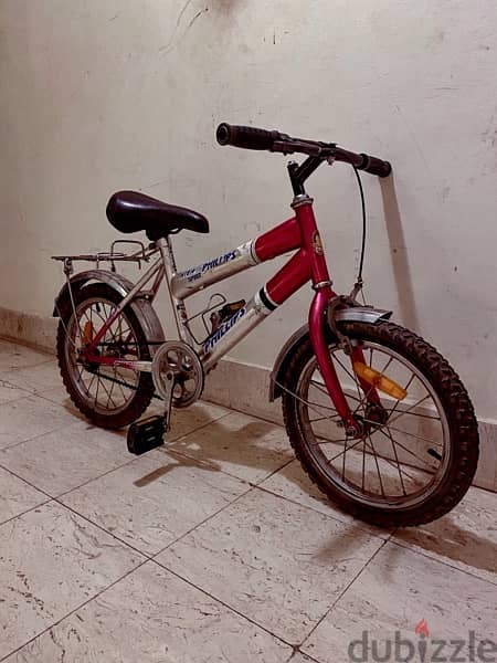 philips bicycle size 15                           عجلة فيليبس مقاس ١٥ 1