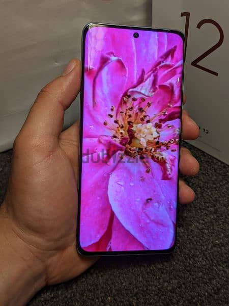 شاومي ١٢ حالة ممتازة - Xiaomi 12 mint condition 1