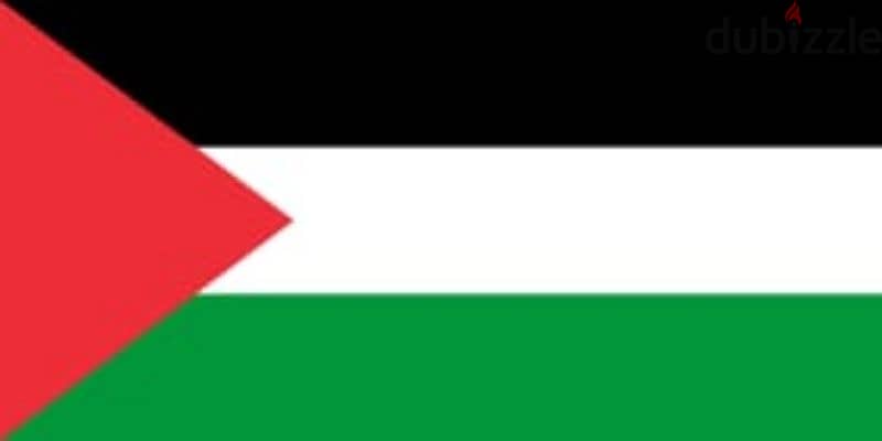 علم فلسطين مقاس  ٦٠سم ×٩٠سم 2