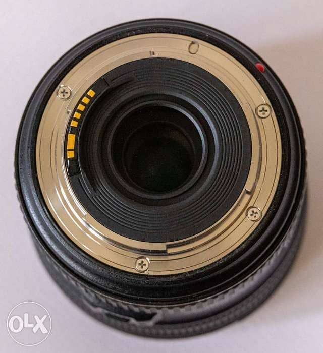 Canon EF 24-70L f4 IS lens 2