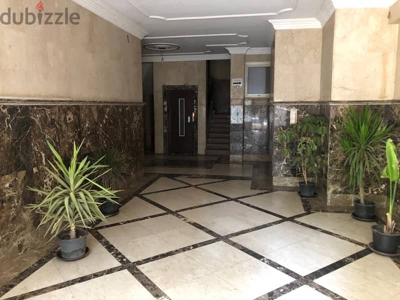PREMIUM furnished 3br2ba apartment in Dokki ($1550) — long term only 17