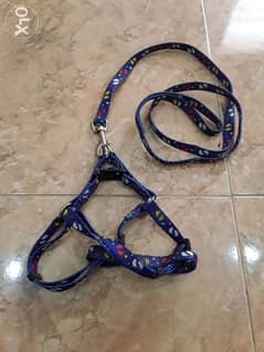 Puppy/Cat or small dog Harness 0