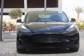 2023 Brand New Tesla Model 3 Performance 0