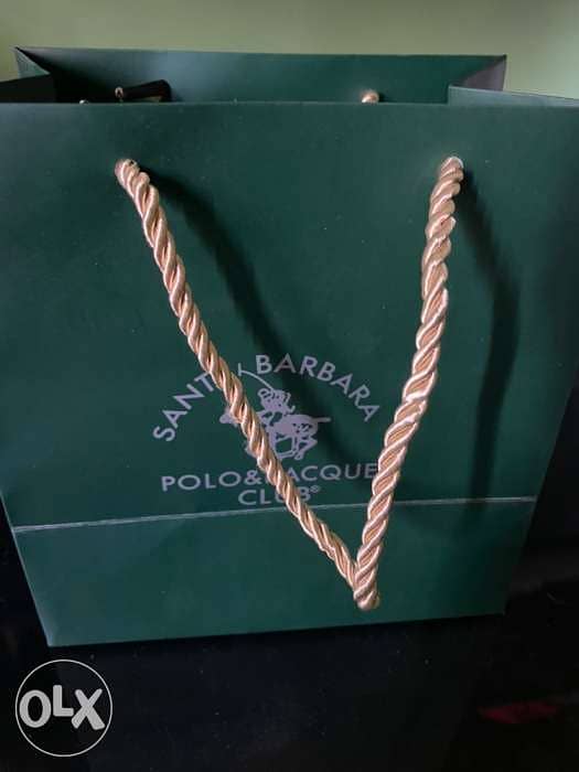 Polo watch 2