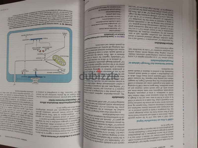 Biochemistry textbook 1
