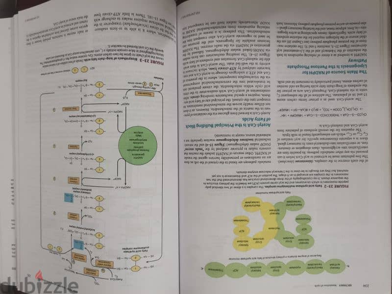 Biochemistry textbook 2