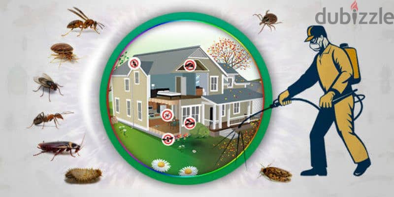 مكافحة القوارض والحشرات بجميع أنواعها في المنازل 0