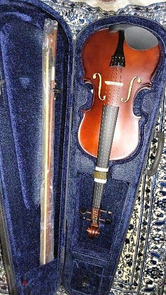 violin