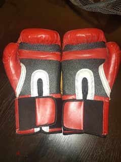boxing gloves everlast 12 oz. original 0