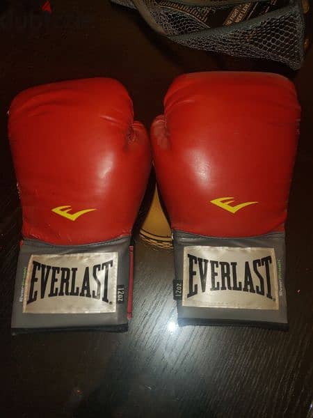 boxing gloves everlast 12 oz. original 1