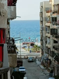 امتلك شقه في الإسكندرية شاطئ النخيل موقع ممتاز جدا يصلح للسكن 0