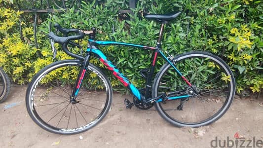 viva roed bicycle 8 speed claris group the new generation