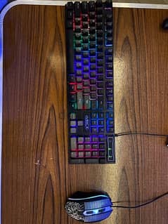 rubber keyboard and mouse