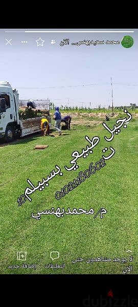 نجيل طبيعي بسبيلم10 لتنسيق الحدائق والفيلات والملاعب وسيشن وملاعب
