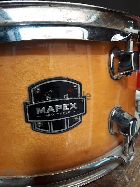 snar Mapex Maple 13 1