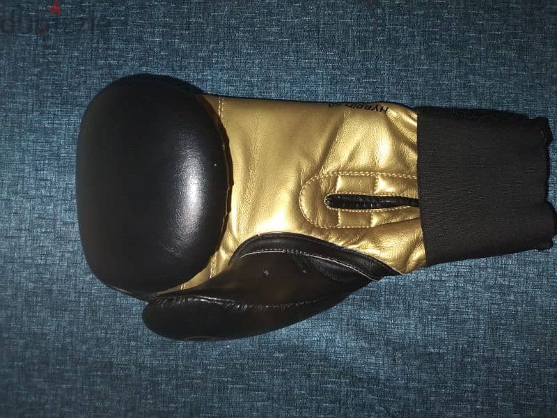 Boxing gloves (adidas) 1