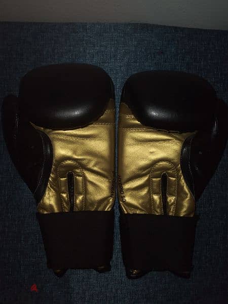 Boxing gloves (adidas) 3
