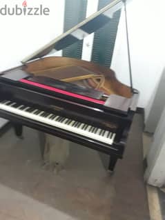 بيانو كودا HOFMANN