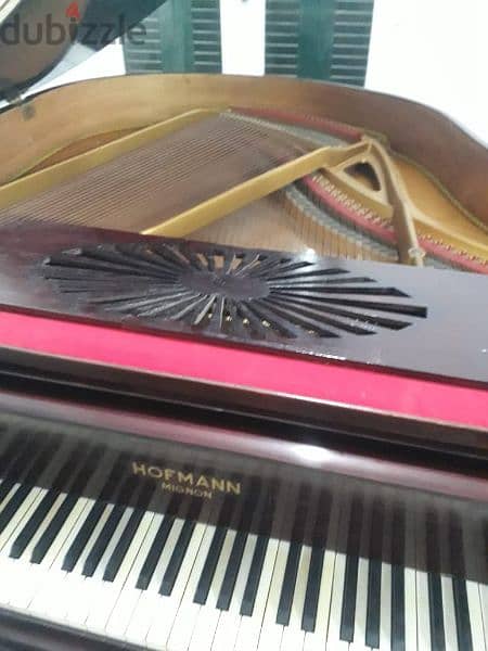 بيانو كودا HOFMANN 2