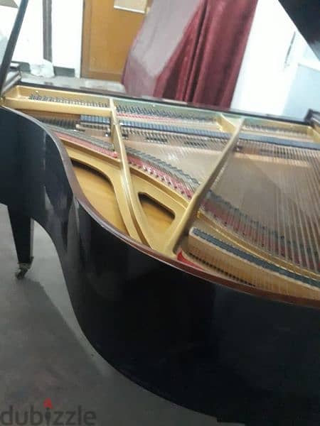 بيانو كودا HOFMANN 8