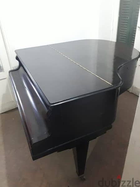 بيانو كودا HOFMANN 12