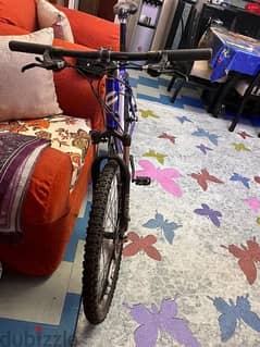 Dubizzle bicycle for online sale