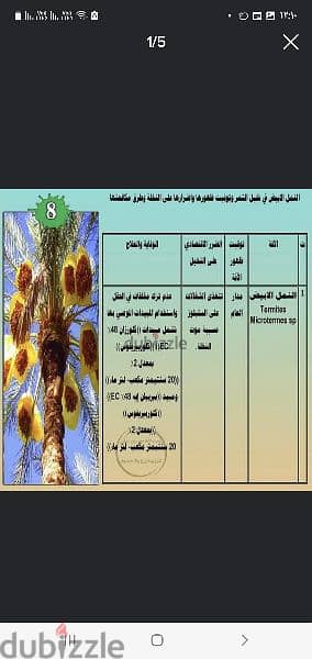 تقديم استشارات فنية وتدريب العاملين بمزرع النخيل