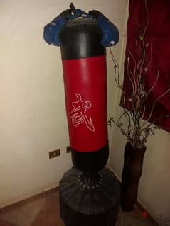 Boxing bag with gloves