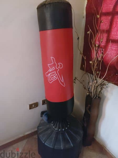 Boxing bag with gloves 1